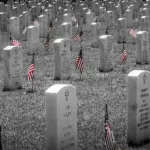 Veterans Day Poems and Tributes