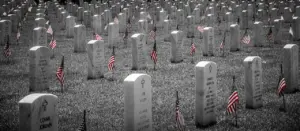 veterans day poems