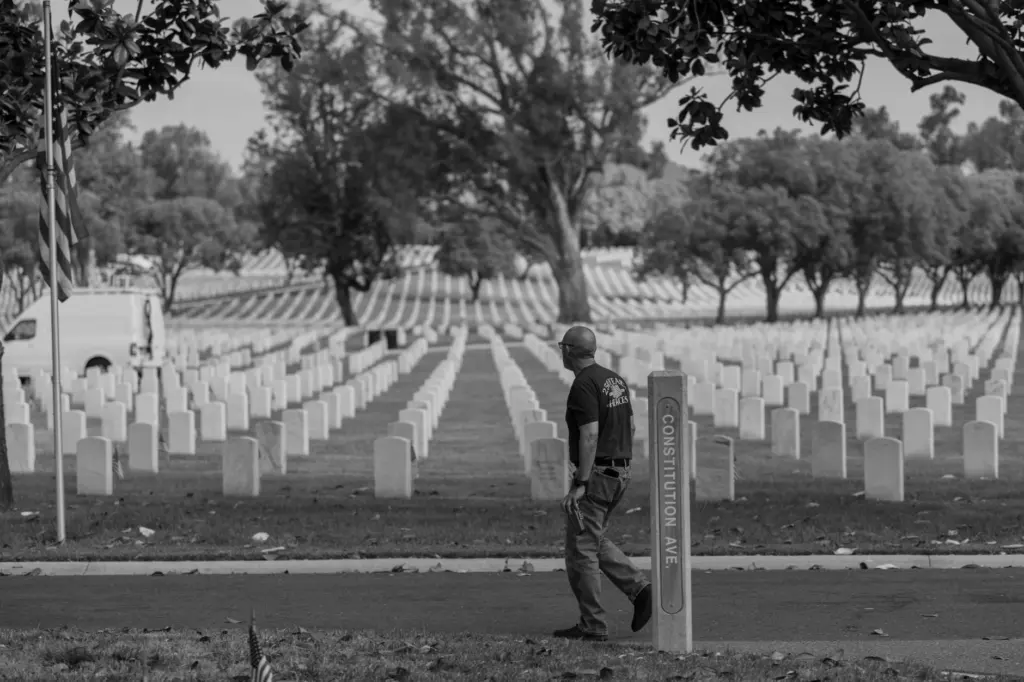 Difference Between Veterans Day and Memorial Day