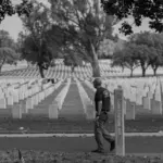 Difference Between Veterans Day and Memorial Day
